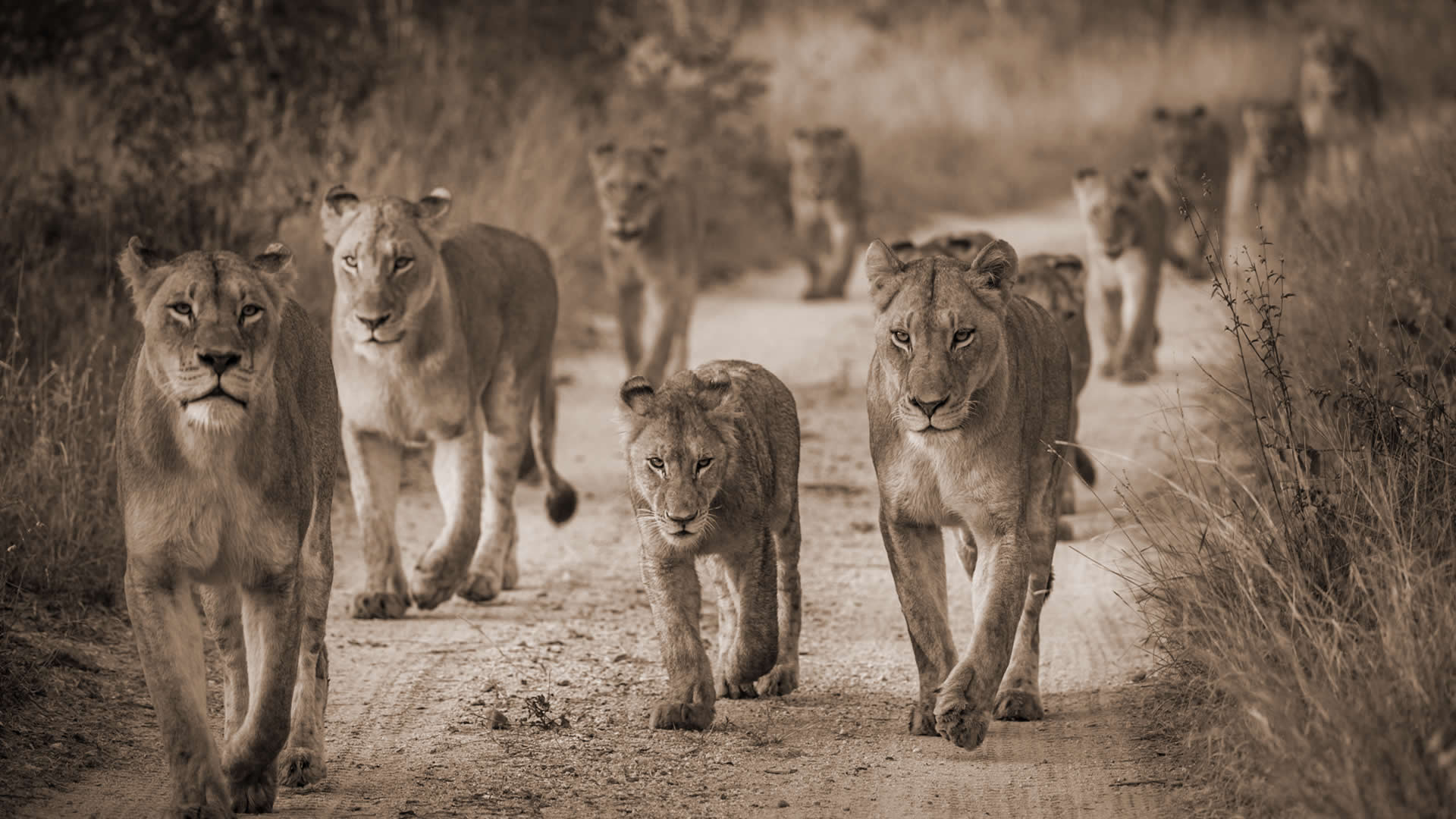 destination kenya