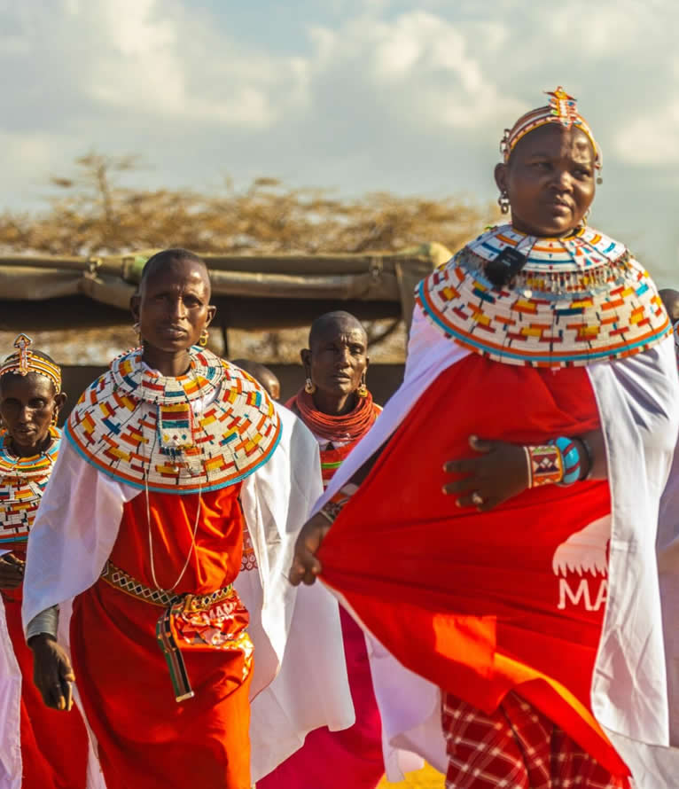 cultural safari cultural safari