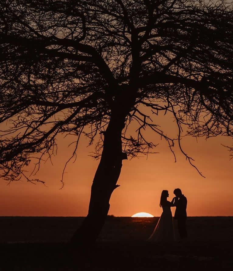 weddings and elopement weddings and elopement